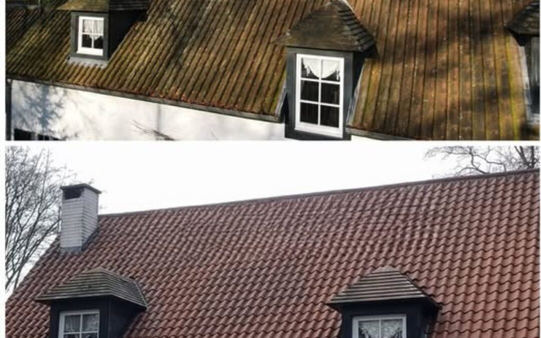 Pourquoi faire appel à un démoussage de toiture ?