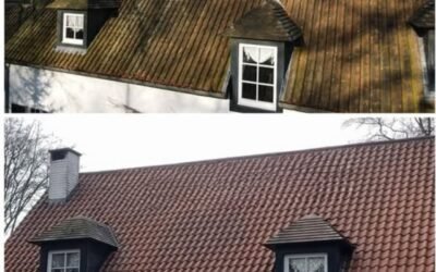 Pourquoi faire appel à un démoussage de toiture ?