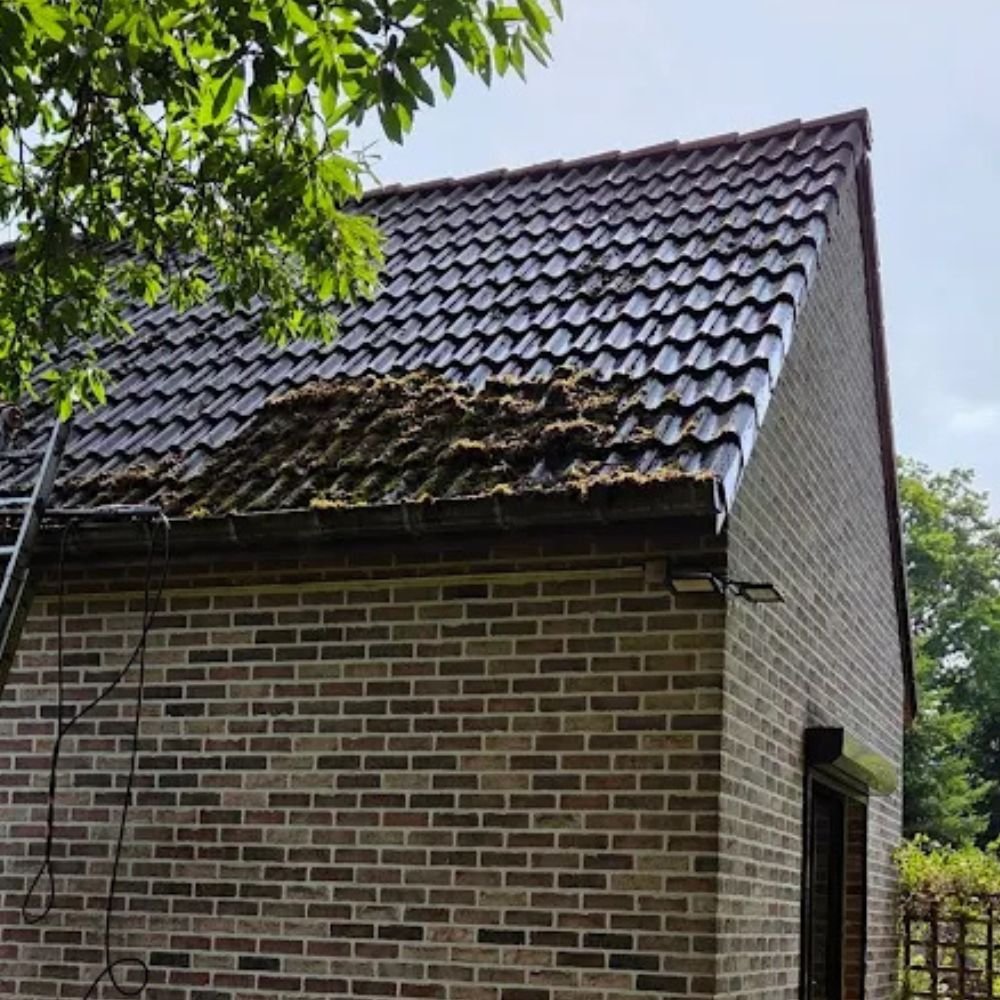 Design-sans-titre-2025-10-22T140135.364